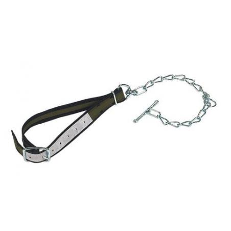 Collar with chain for cattle, calves and bulls