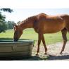 Feeder with grazing tank