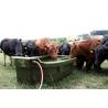 Feeder with grazing tank