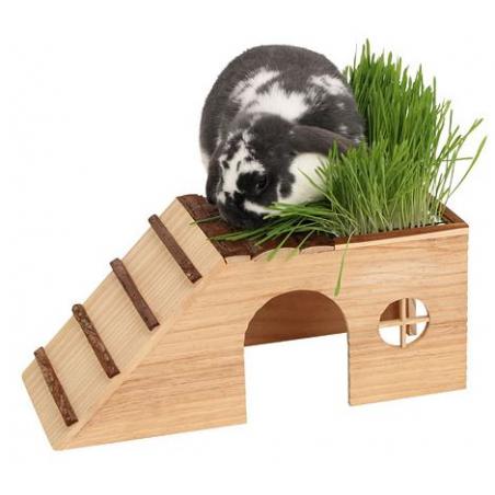 Casetta in legno per roditori