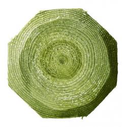 Wooden posts for electric fences