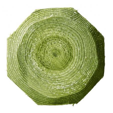 Wooden posts for electric fences
