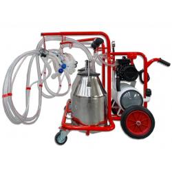 Milking machine for goats, 4 groups with 2 bins