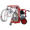 Milking machine for goats, 4 groups with 2 bins
