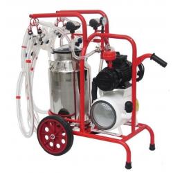 Milking machine for sheep, 4 groups with 1 bin
