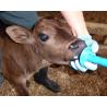 Trusty Tuber feeder for feeding calves