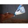 Trusty Tuber feeder for feeding calves