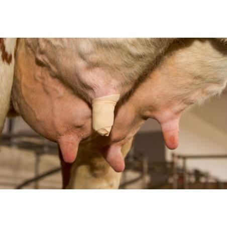 Bovine breast bandage