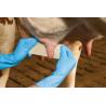 Bovine breast bandage