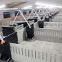 TR2 feeder for adjusting food for fattening pigs