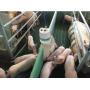 Comedero Mini Feeder para lechones pre destetados