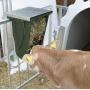 Feeder with hay rack for calf box