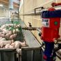 Mixtron standard dosing pump 0.5-4