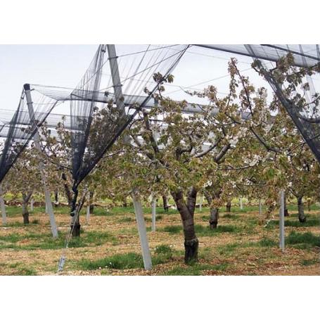 Rete antigrandine per piante da frutto