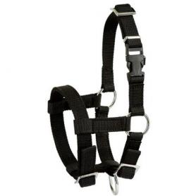 Adjustable halter for alpaca