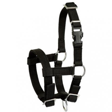 Adjustable halter for alpaca