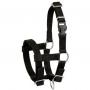 Adjustable halter for alpaca