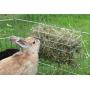 Rack for rabbits