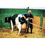Extractor de terneros VINK