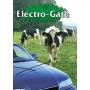 Cancello elettrico automatico per recinti