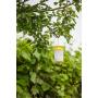 Trappola per mosche FlyCage3